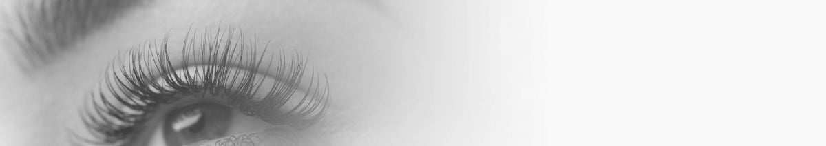 Lash/Brow