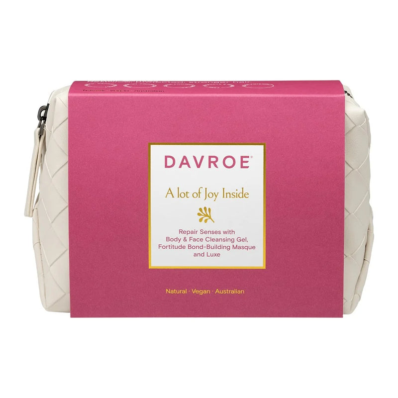 Davroe Christmas Repair Travel Pack