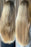 Vani-T Gloss Hair Growth Travel Size Shampoo