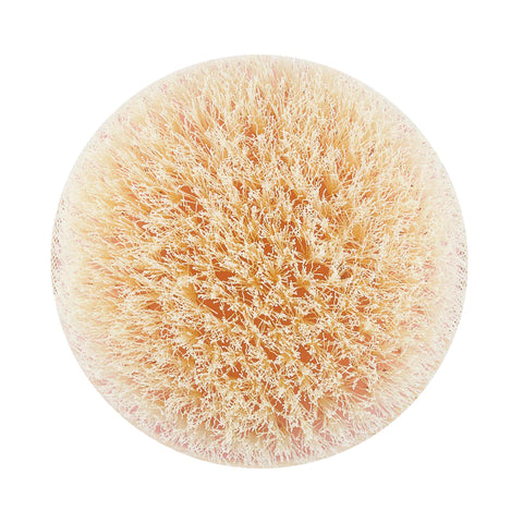 Eco Tools Dry Body Brush