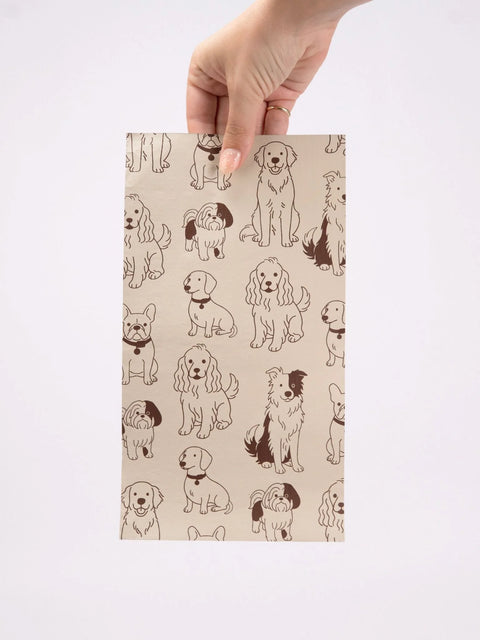 Foxy Blondes Lola & Friends Pop Up Foil
