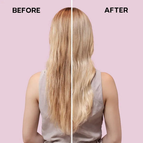Alfaparf Style & Care Detangling Primer