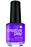 CND Creative Play Orchid You Not
