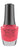 Morgan Taylor Cancan We Dance? Nail Polish - 176