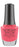Morgan Taylor Manga-Round With Me Nail Polish - 182