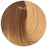 Showpony 20" 3 in 1 Halo Hair Extension Box Set