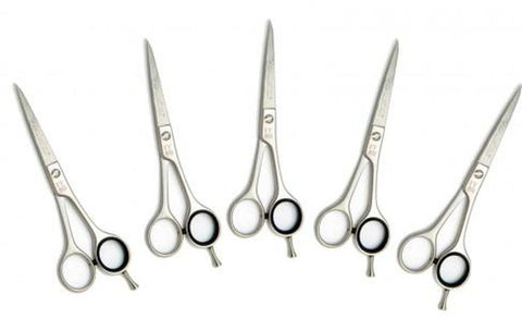 Wahl Italian Series Scissors - September Promo!