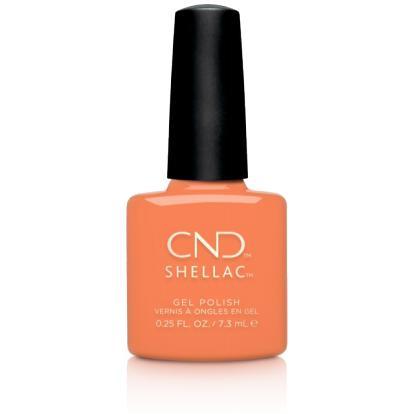 CND Shellac Catch Of The Day